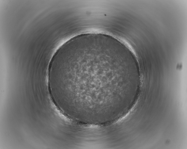 X0000094190839200711021026