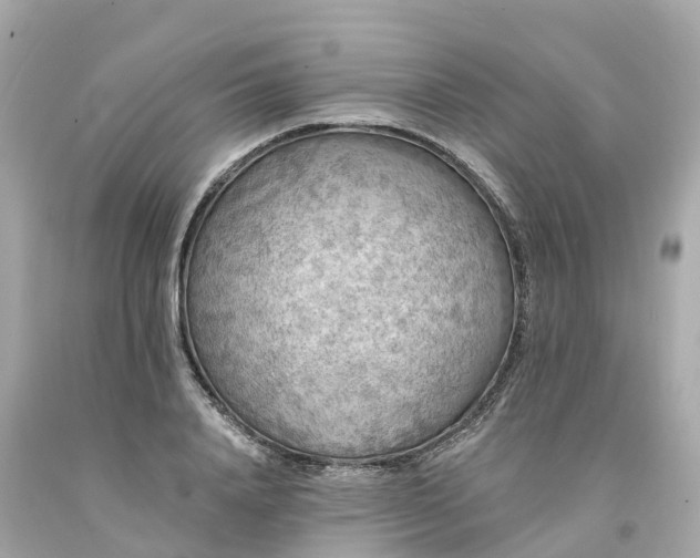 X0000094190840200711021026