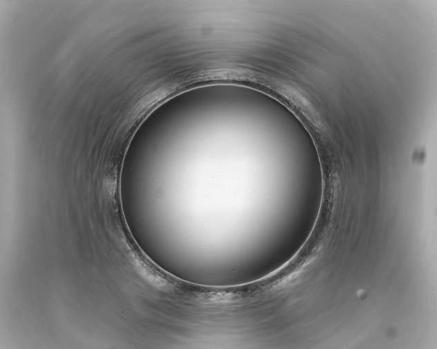 X0000094190841200711021026