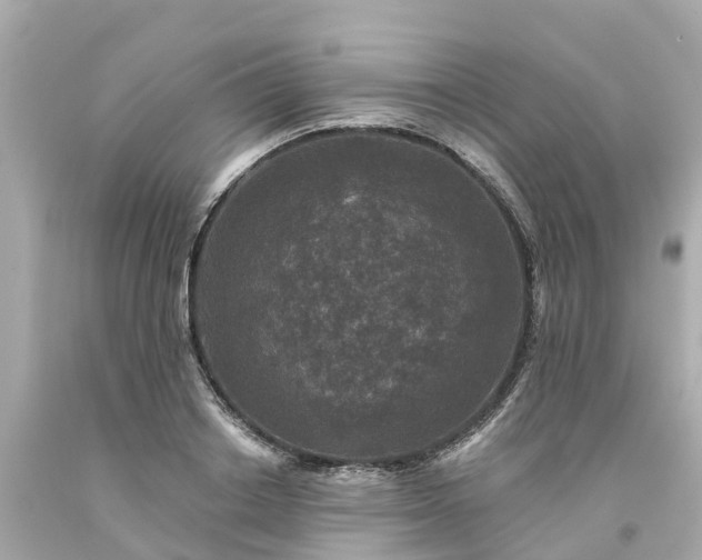 X0000094190842200711021026