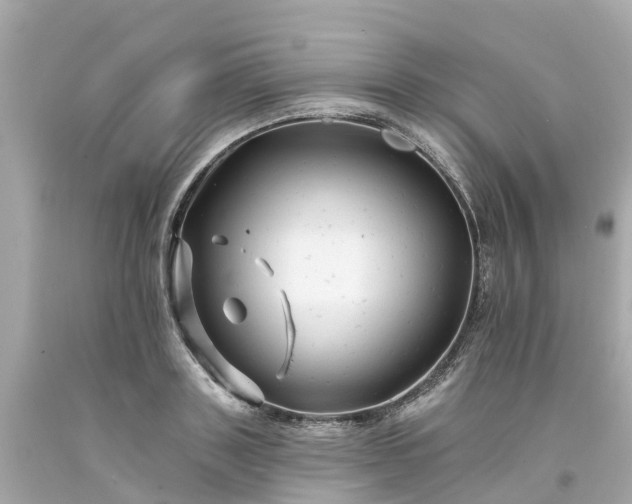 X0000094190843200711021026