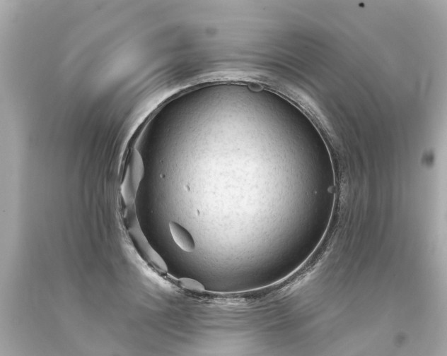 X0000094190844200711021026