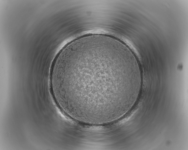 X0000094190845200711021026