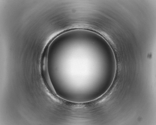 X0000094190846200711021026