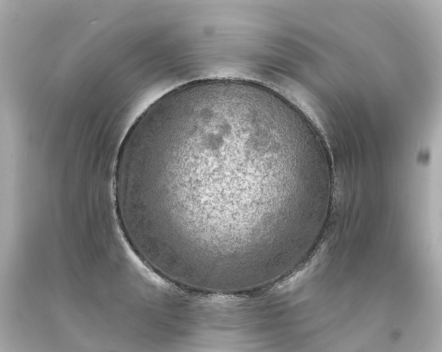 X0000094190847200711021026