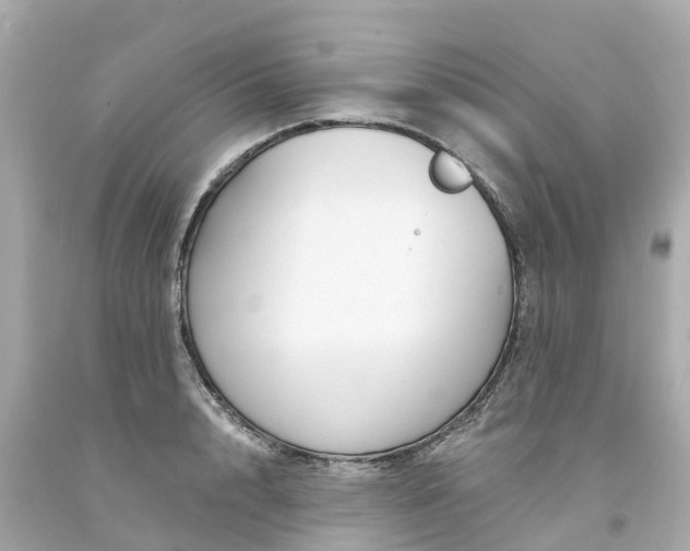 X0000094190848200711021026