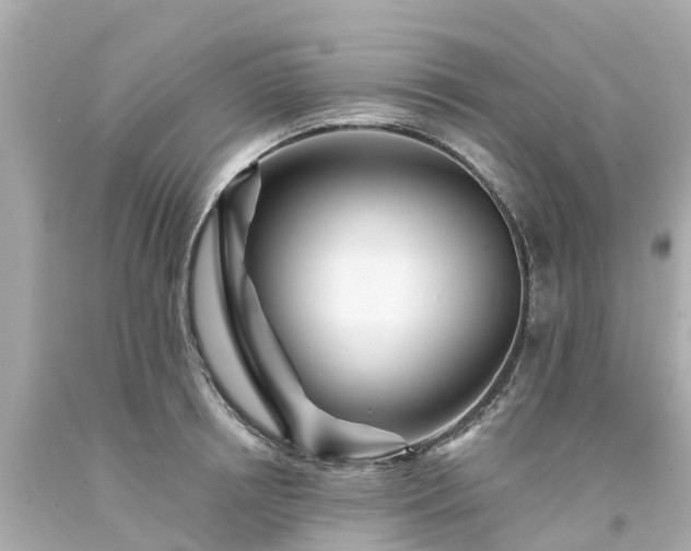 X0000094190850200711021026