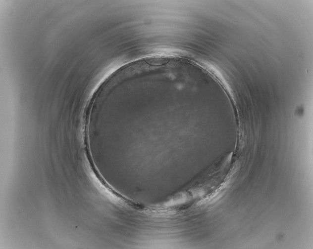 X0000094190851200711021026