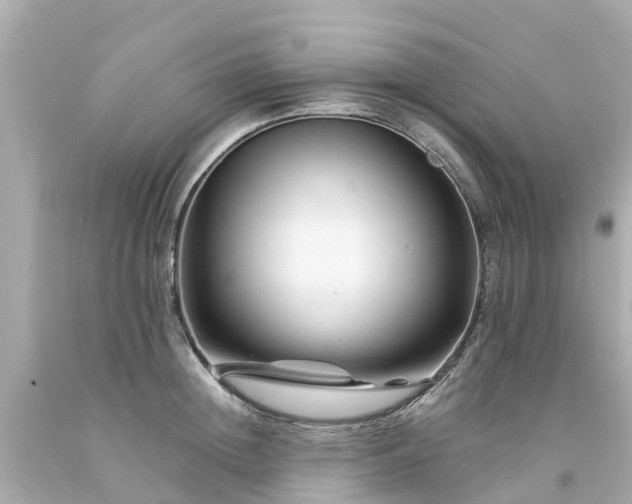 X0000094190852200711021026