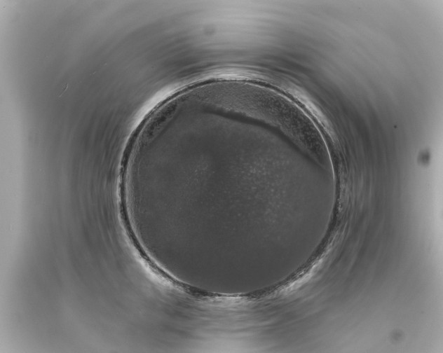 X0000094190853200711021026