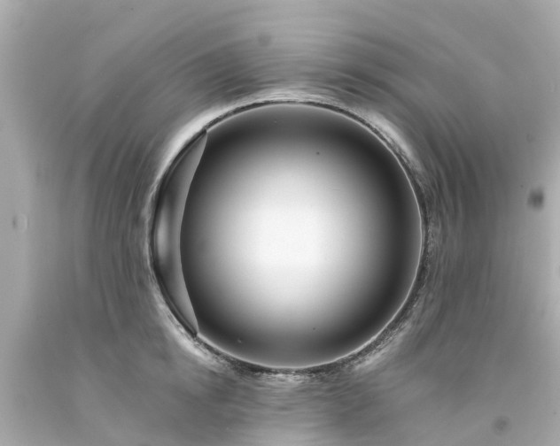 X0000094190854200711021026