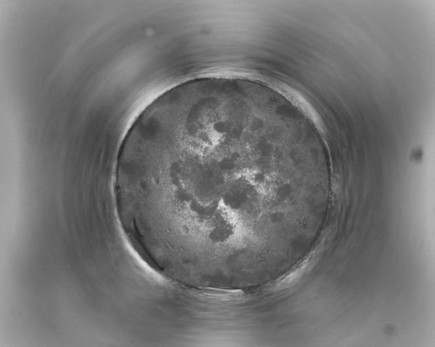 X0000094190855200711021026