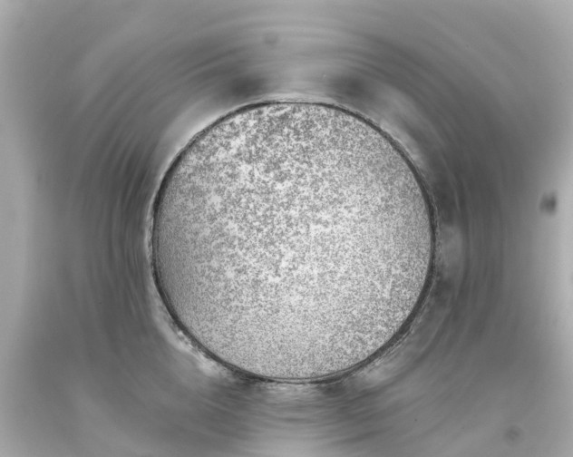 X0000094190856200711021026