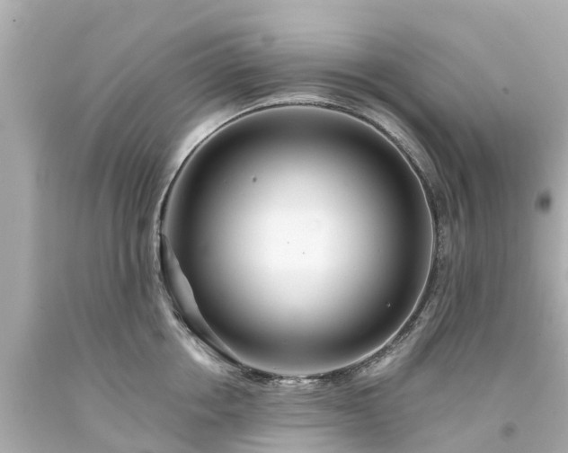 X0000094190858200711021026