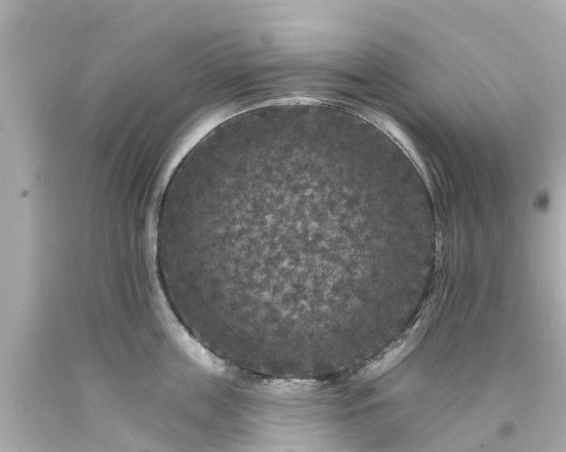 X0000094190859200711021026