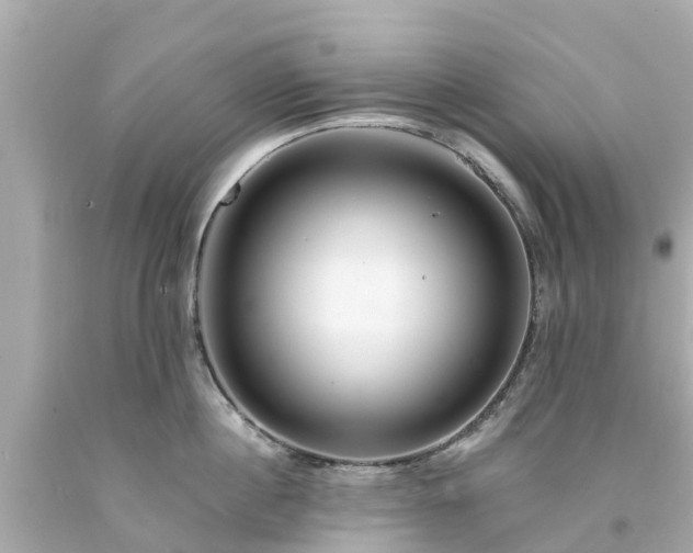 X0000094190860200711021026