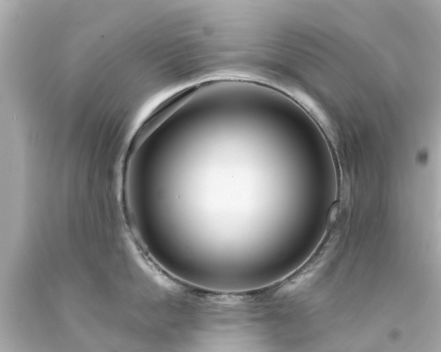 X0000094190862200711021026