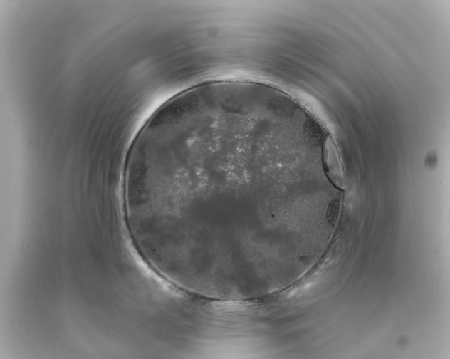 X0000094190863200711021026