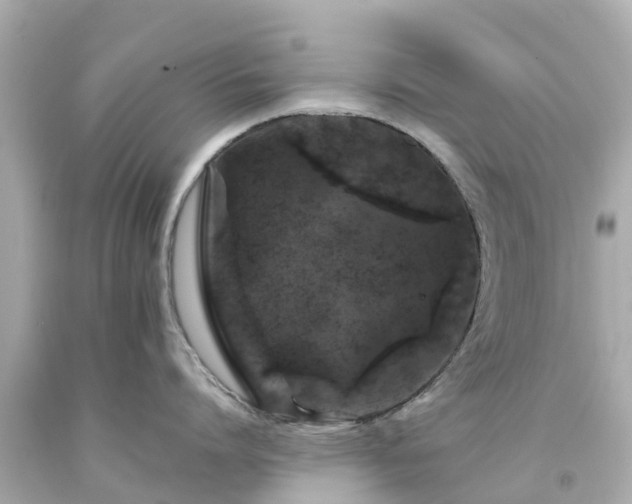 X0000094190864200711021026