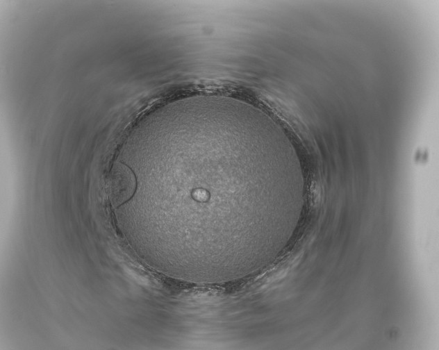 X0000094190865200711021025