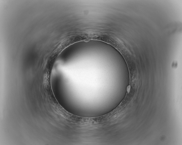 X0000094190866200711021025