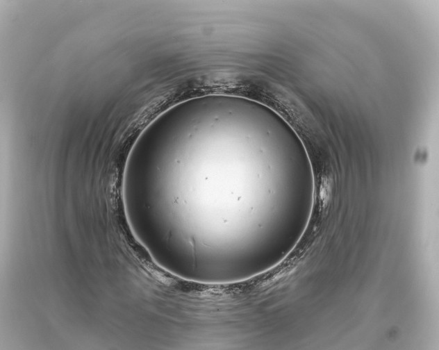 X0000094190867200711021025