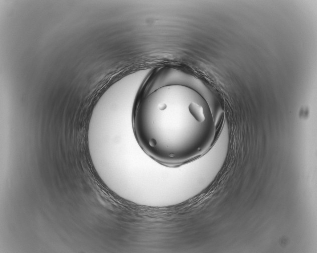 X0000094190868200711021025