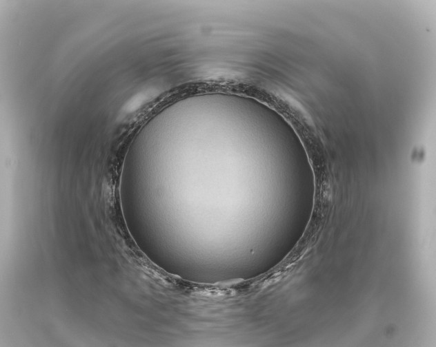 X0000094190869200711021025