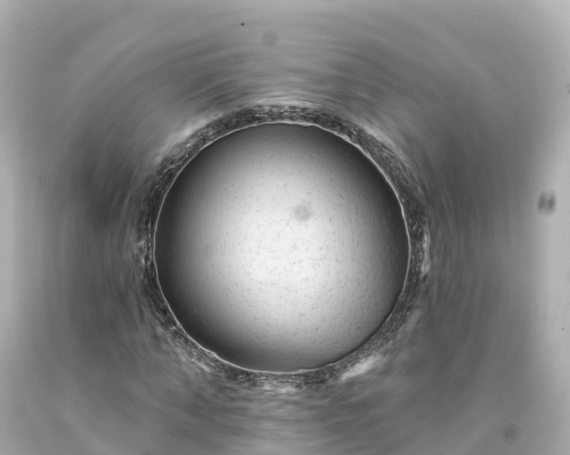 X0000094190870200711021025