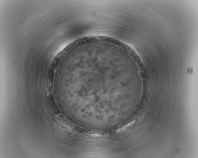 X0000094190871200711021025