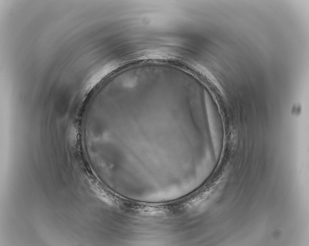 X0000094190874200711021025