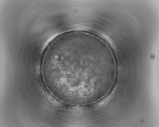 X0000094190875200711021025