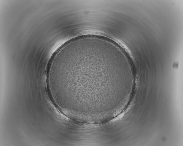 X0000094190877200711021025