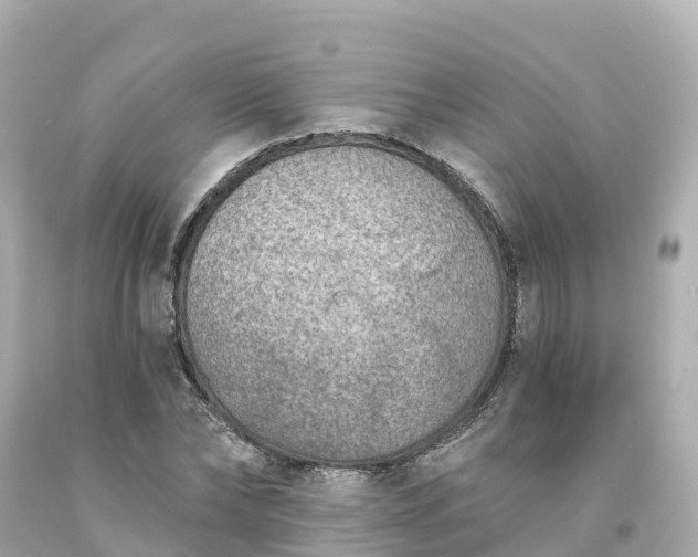 X0000094190878200711021025