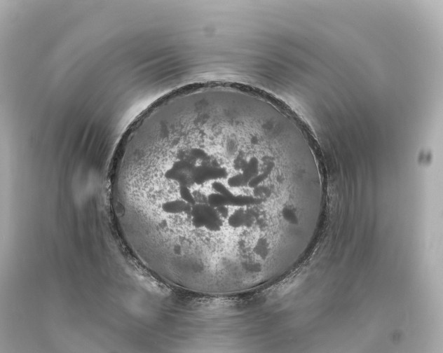 X0000094190879200711021025