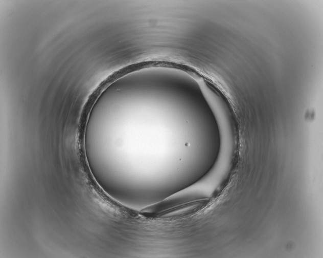 X0000094190880200711021025