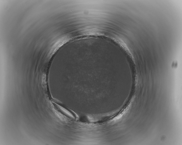 X0000094190881200711021025