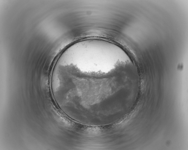 X0000094190882200711021025