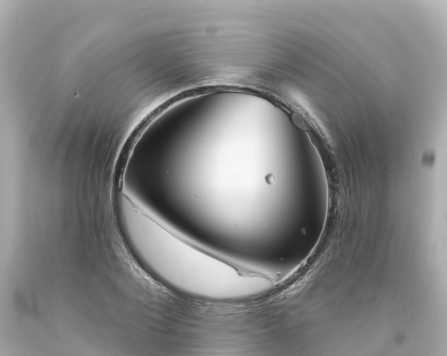 X0000094190884200711021025