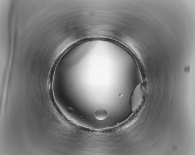 X0000094190885200711021025