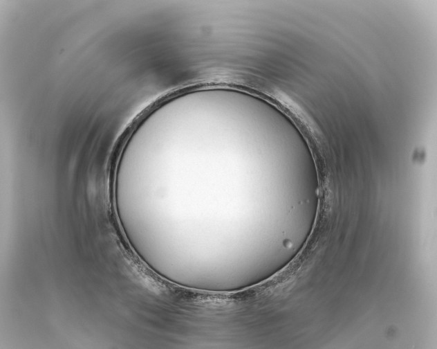 X0000094190886200711021025