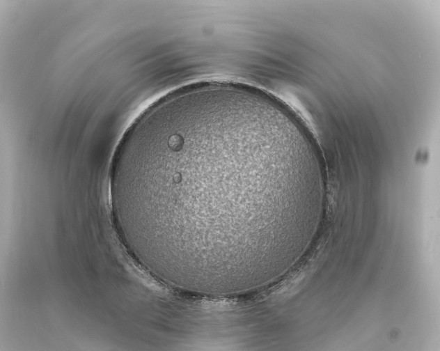 X0000094190887200711021025