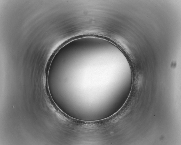 X0000094190888200711021025