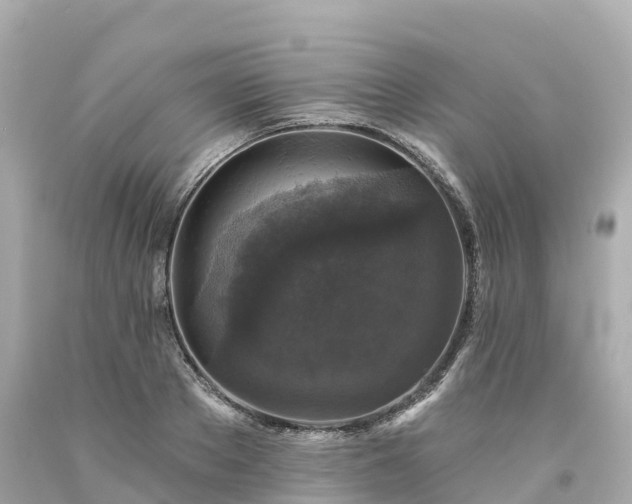 X0000094190889200711021025