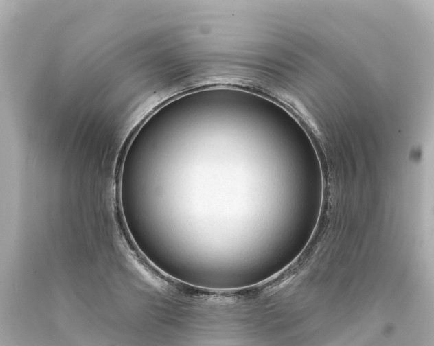 X0000094190890200711021025