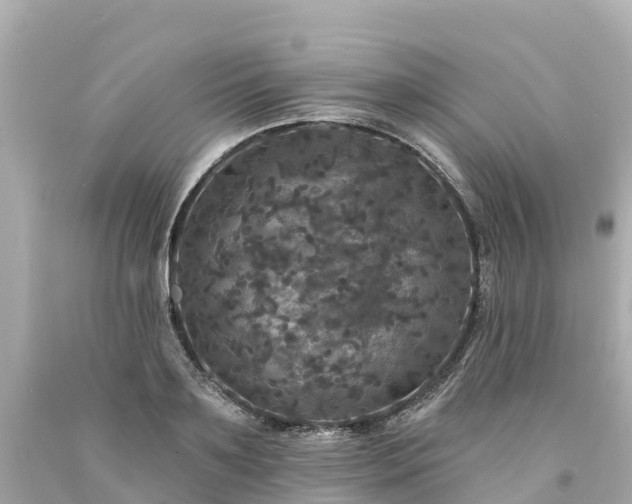 X0000094190891200711021025