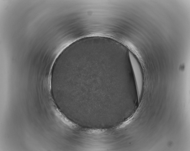 X0000094190892200711021025