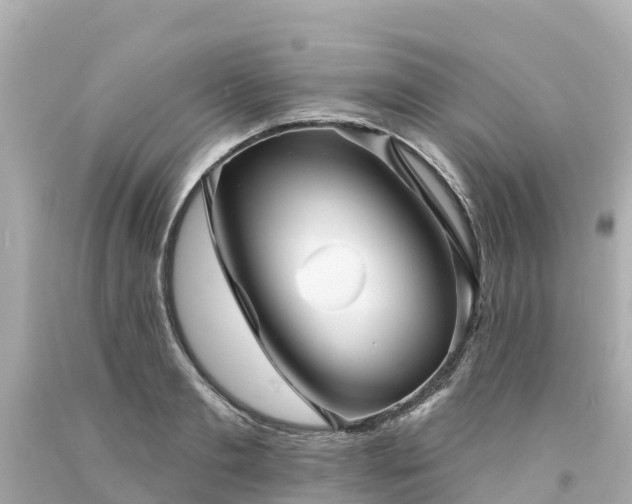 X0000094190893200711021025