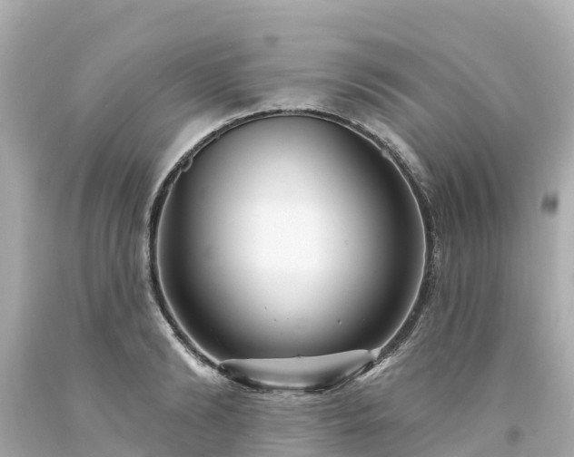 X0000094190894200711021025