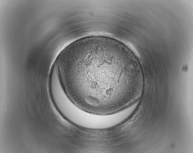 X0000094190895200711021025